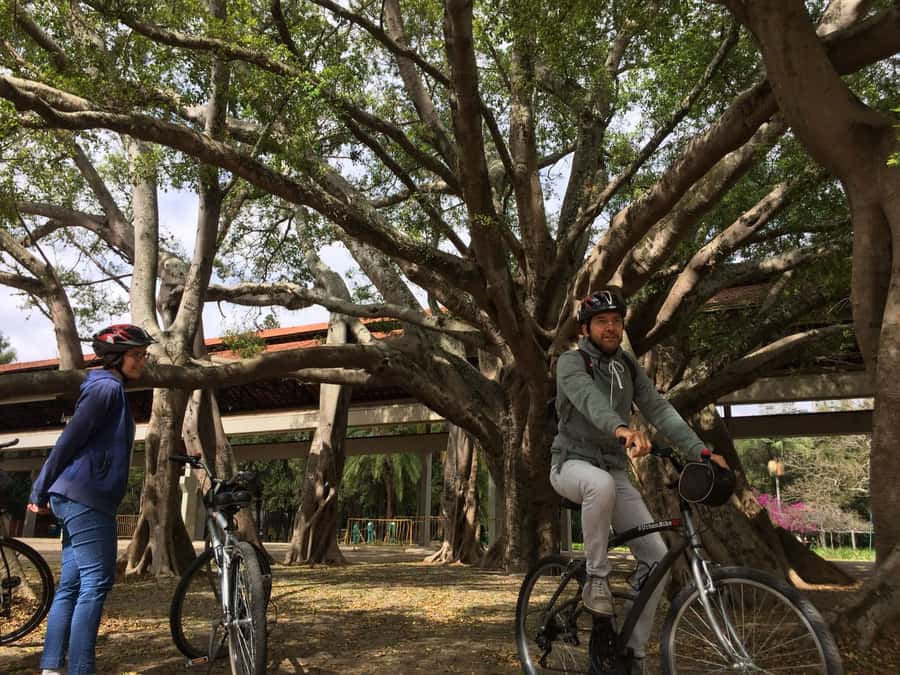 São Paulo: Street Art Bike Tour - Ibirapuera Park closes the route with space