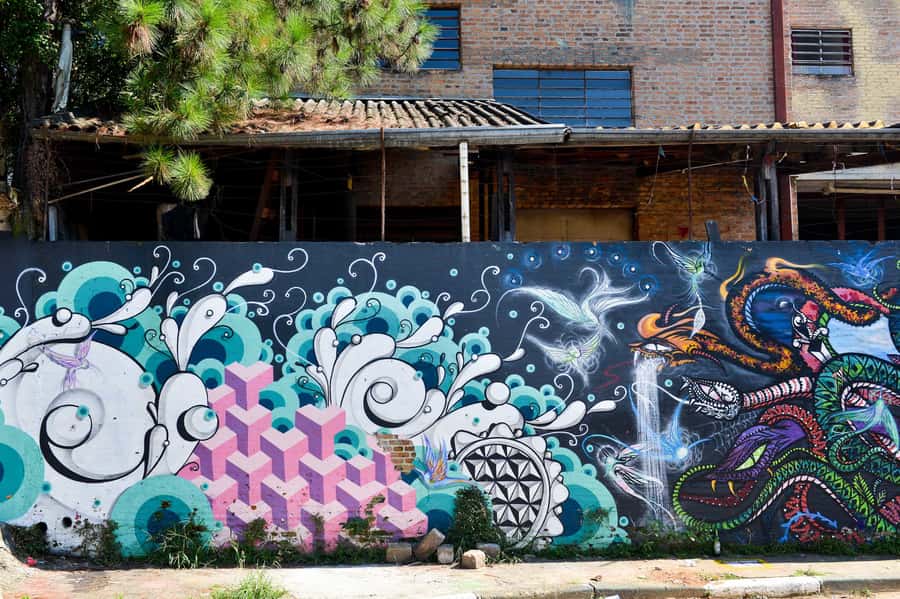 São Paulo Street Art Tour - Should you book the São Paulo Street Art Tour?