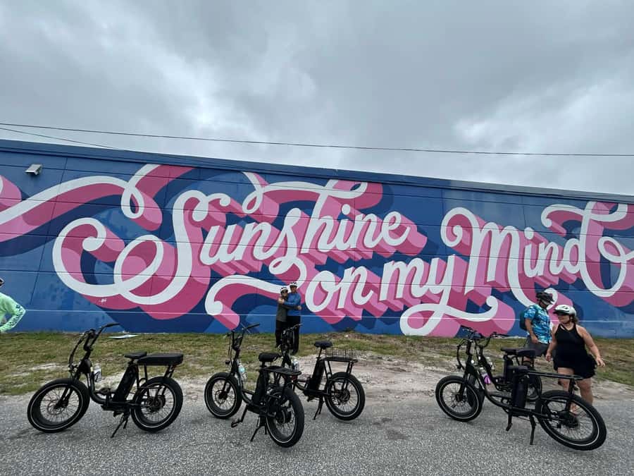 St. Petersburg, FL: Sightseeing & Murals Electric Bike Tour - Passing the Dalí Museum