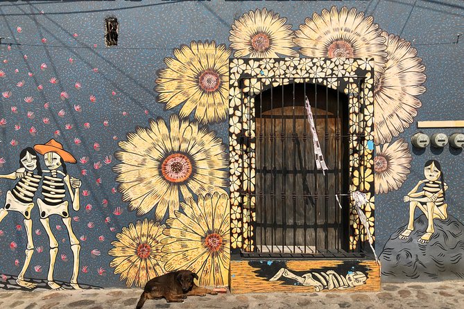 Street Art Bike Ride - Why a bicycle is the right tool for Oaxaca street art