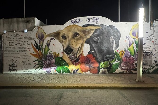 Street Art & Cemetery Cultural Tour - half day - Who will get the most from this private tour