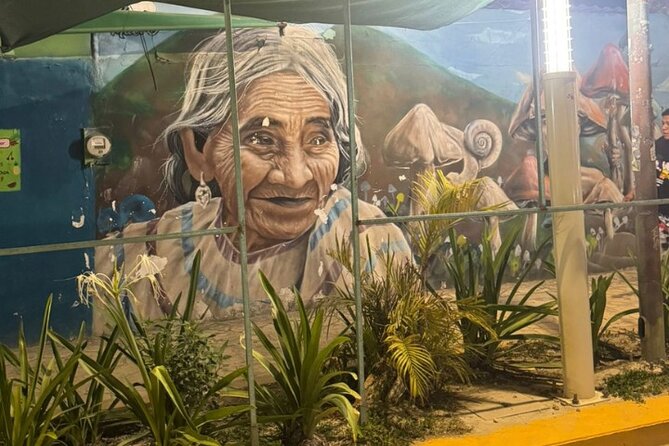 Street Art & Cemetery Cultural Tour - half day - Cemetery culture and the meaning of Day of the Dead