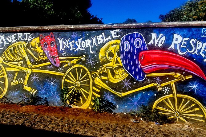 Street Art Tour With An Artist in Oaxaca - Group Size, Walking Pace, and Practical Comfort