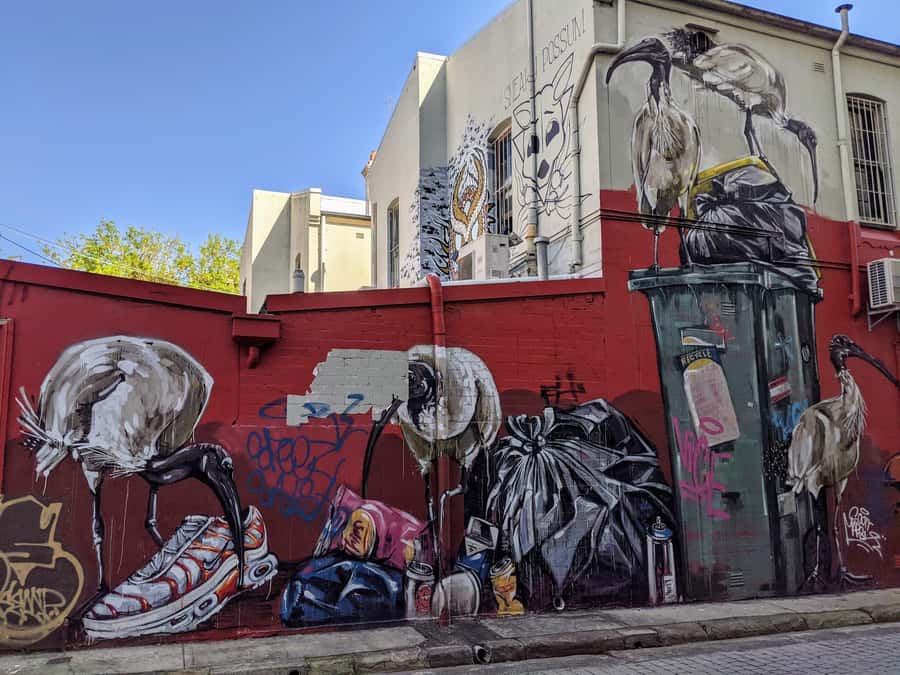 Sydney: Street Art & Small Bar Tour with Complimentary Drink - Why street art and small bars work so well together