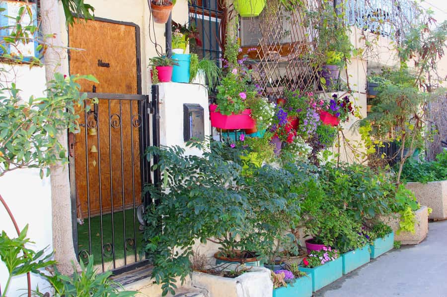 Tel Aviv: Florentin Saturday Walking Tour - Who will enjoy this Saturday walk?