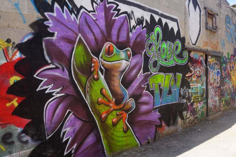 Tel Aviv: Street Art and Graffiti Tour - Reading Tel Aviv one wall at a time