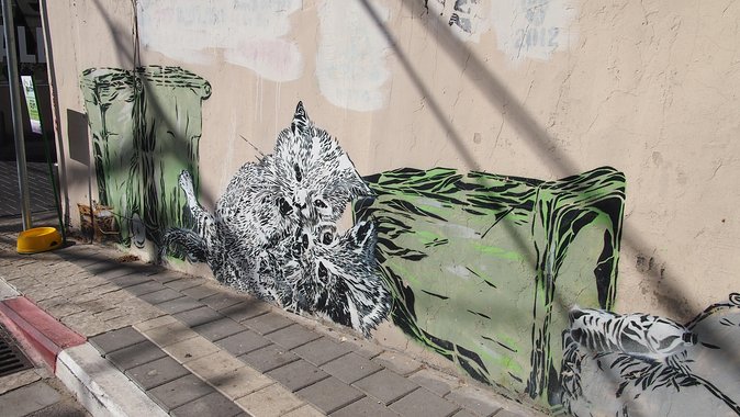 Tel Aviv Street Art Tour - Reading protest and politics on the walls