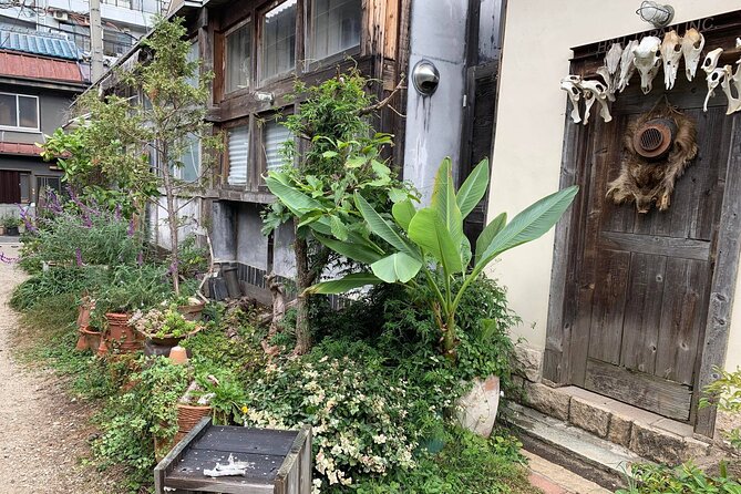 Urban Canvas: Osaka Street Art Bike Tour - Who will get the most from this Osaka ride