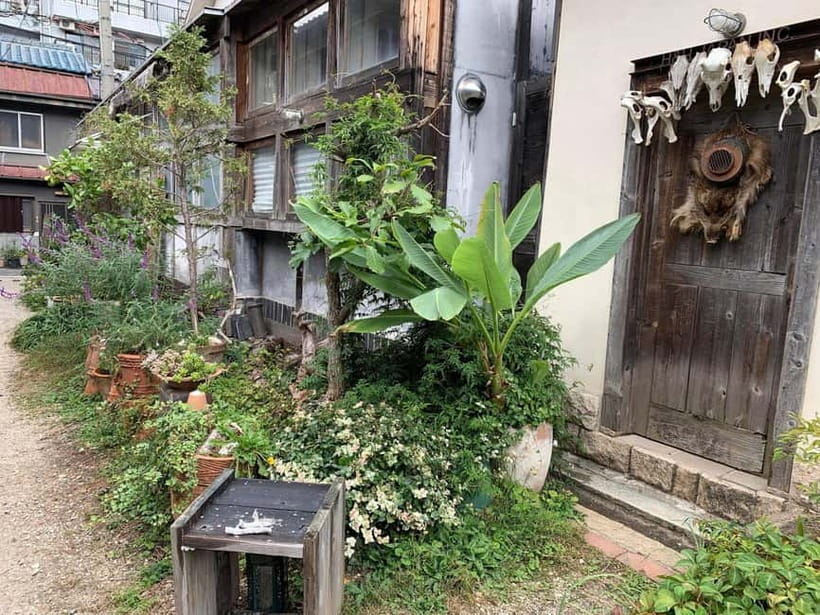 Urban Canvas: Osaka Street Art Bike Tour - Tenma brings coffee, food tips, and local bar culture