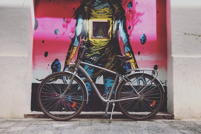 Valencia Street Art | Private Tour by Bike or Electric Ride - Timing, weather, and practical comfort