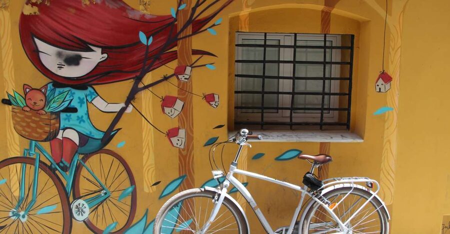 Valencia: Street Art Tour on Bicycle, E-Bike or E-Step - Who should book this ride?