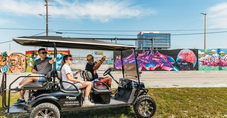 Wynwood Art District 1-Hour Street Art Tour by Golf Cart - Why a golf cart is a smart way to see Wynwood