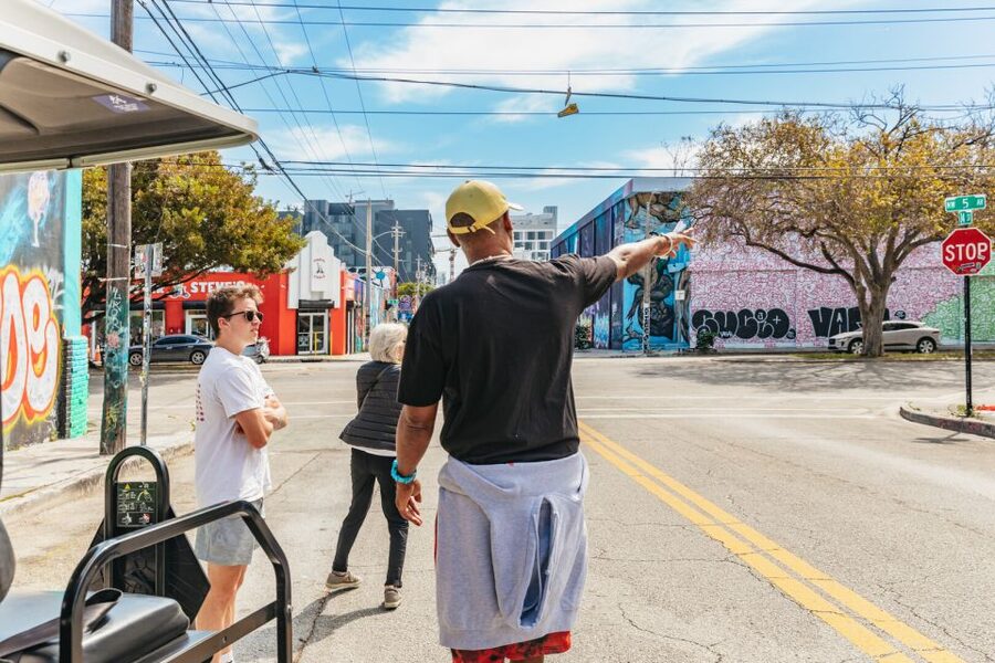 Wynwood Art District 1-Hour Street Art Tour by Golf Cart - Local schools, side streets, and art you might miss