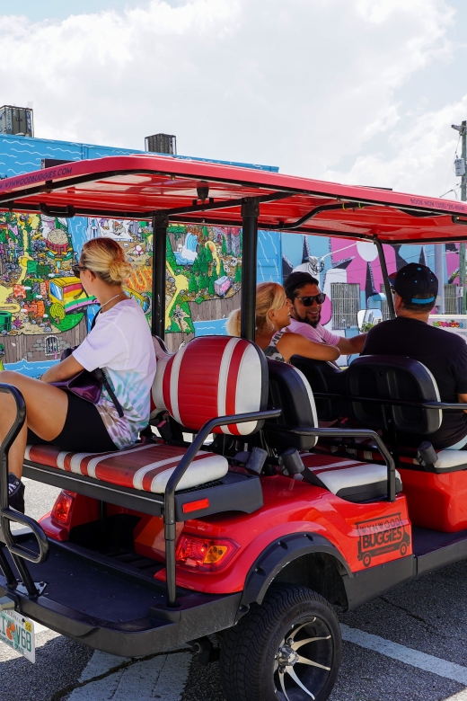 Wynwood Art District 1-Hour Wynwood Buggies Street Art Tour - Sun, rain, comfort, and access