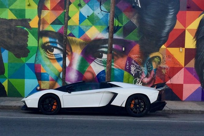 Wynwood French Guided Tour - Street Art - The advantage of a French-speaking local guide