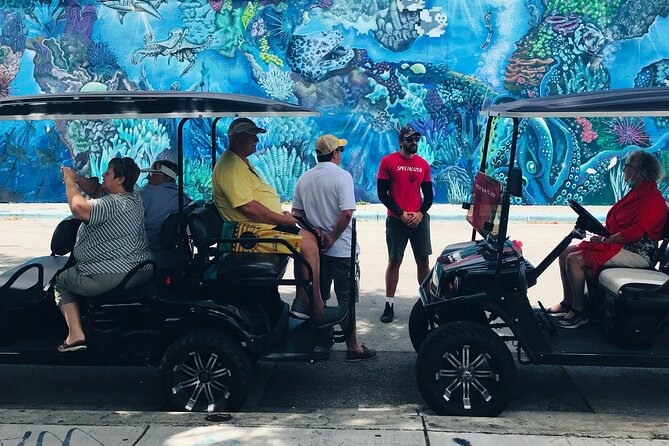 Wynwood Graffiti Golf Cart Small-Group Tour - Wynwood Walls and what you can add afterward