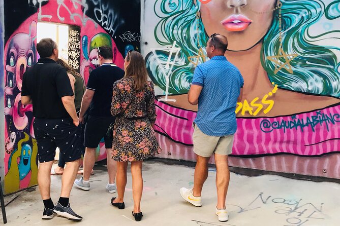 Wynwood Street Art Tour - Passing Wynwood Walls, without entering