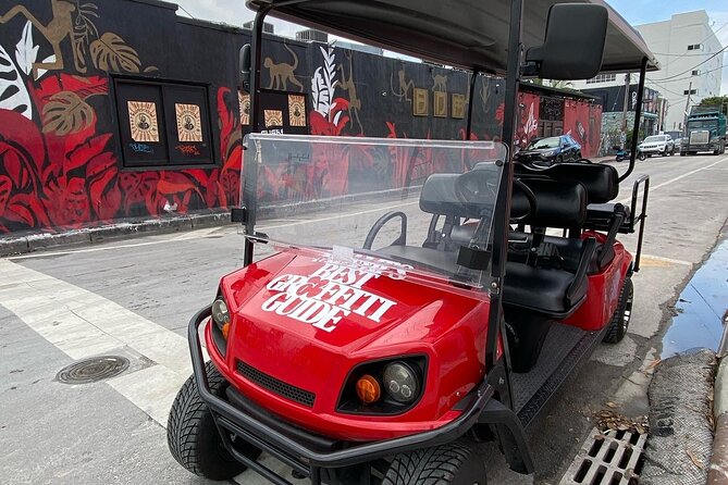 Wynwood Street Art Tour - Artist Lead -VIP Cart - Five things to know before you book