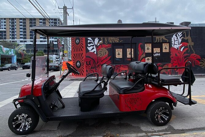 Wynwood Street Art Tour - Artist Lead -VIP Cart - Why an artist changes the way you see Wynwood
