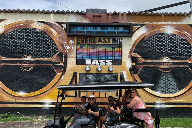 Wynwood Street Art Tour - Artist Lead -VIP Cart - Rolling through Wynwood by VIP cart